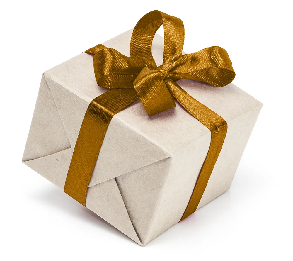 Edle Geschenkbox mit goldener Schleife als Präsentidee für SAUNA PUR Gutscheine